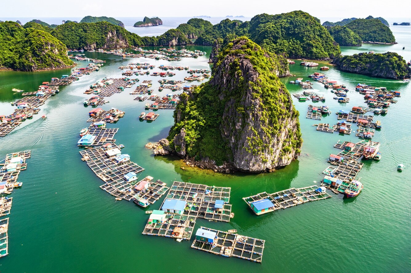 Vịnh lan hạ 1
