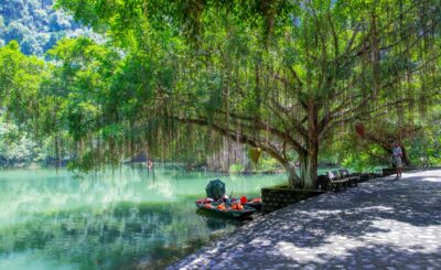 544145659 1209555761218168 2587030689038861544 n