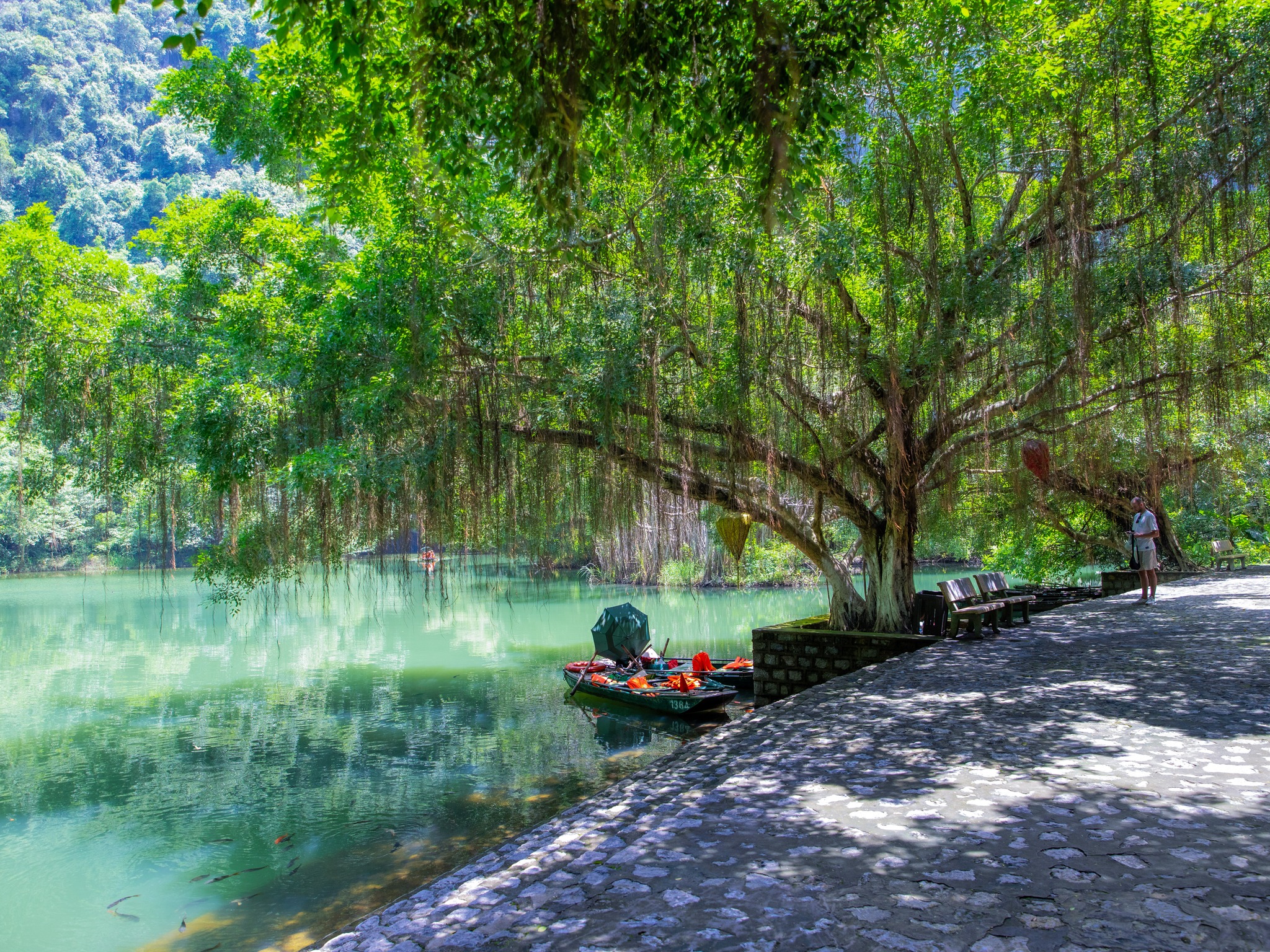 544145659 1209555761218168 2587030689038861544 n