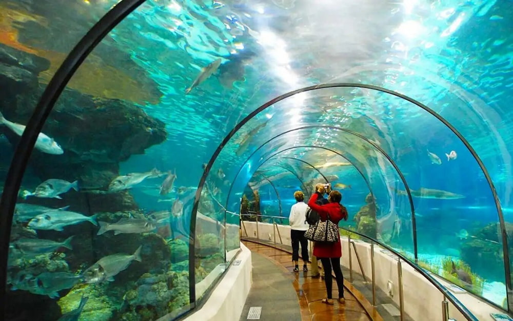 Khu du lịch suối tiên