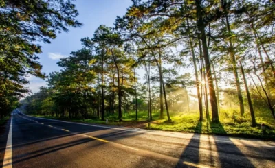 MĐ