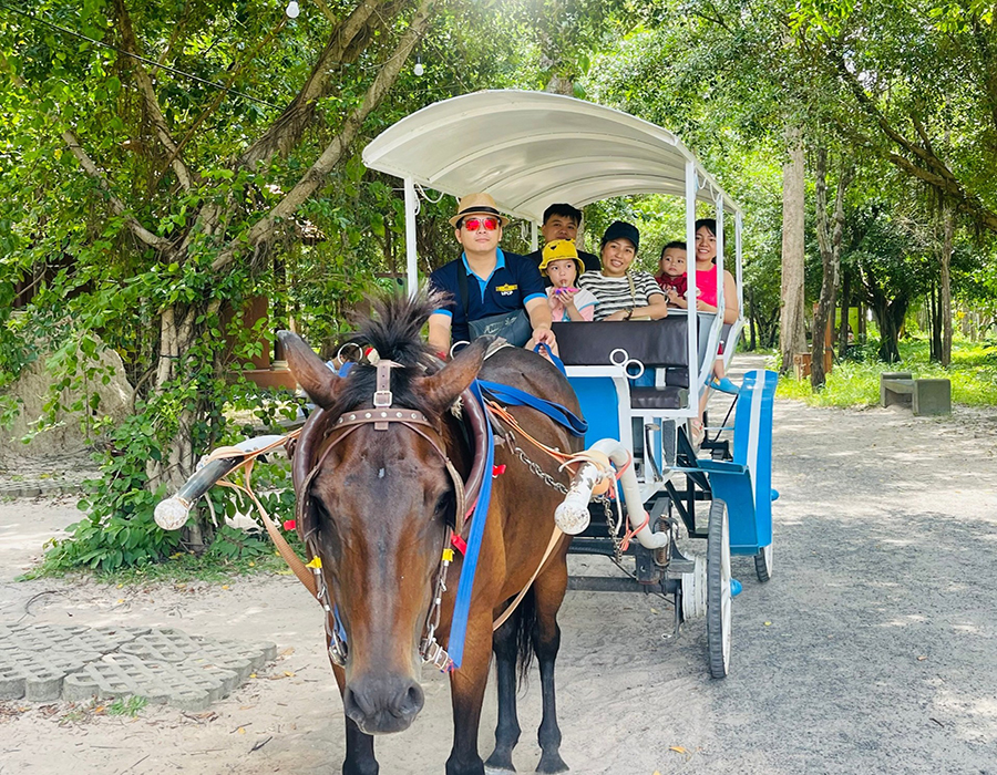 Trai nghiem di xe ngua o binh chau
